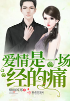 爱情是一场什么