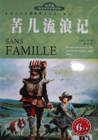 苦儿流浪记主要内容概括